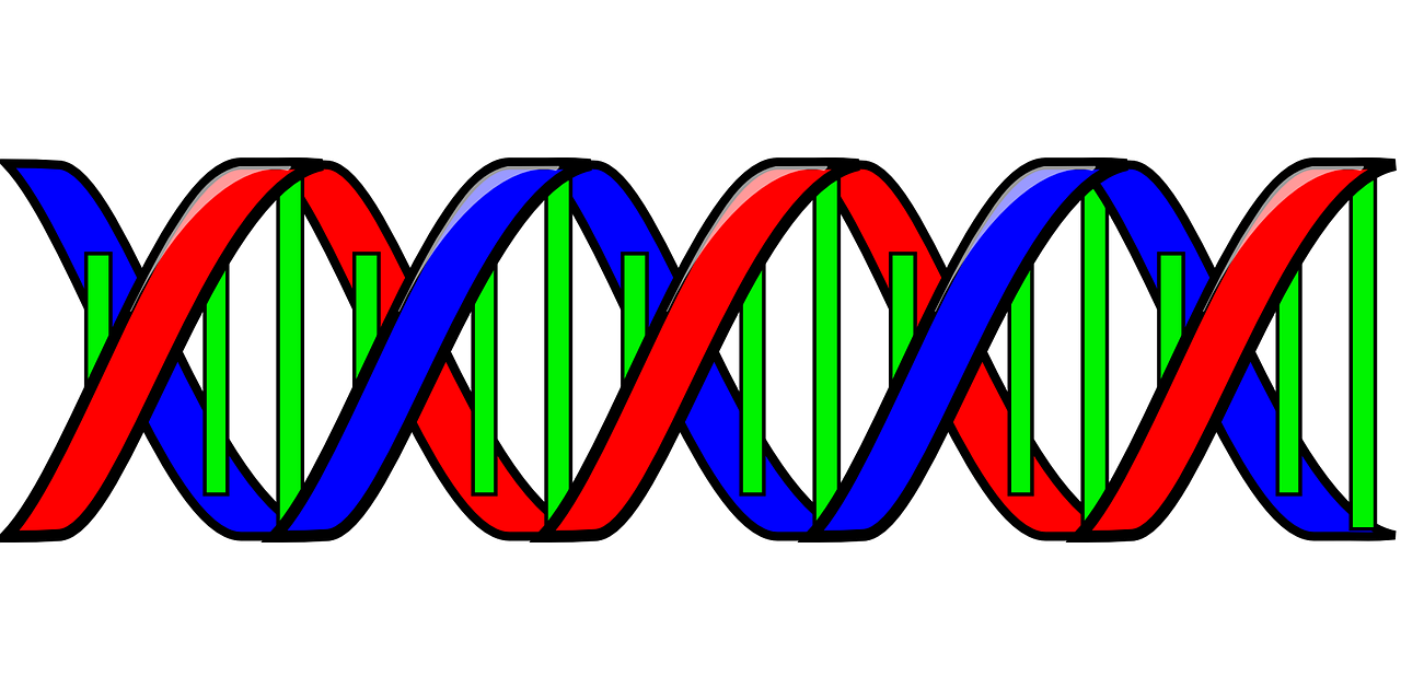 DNA